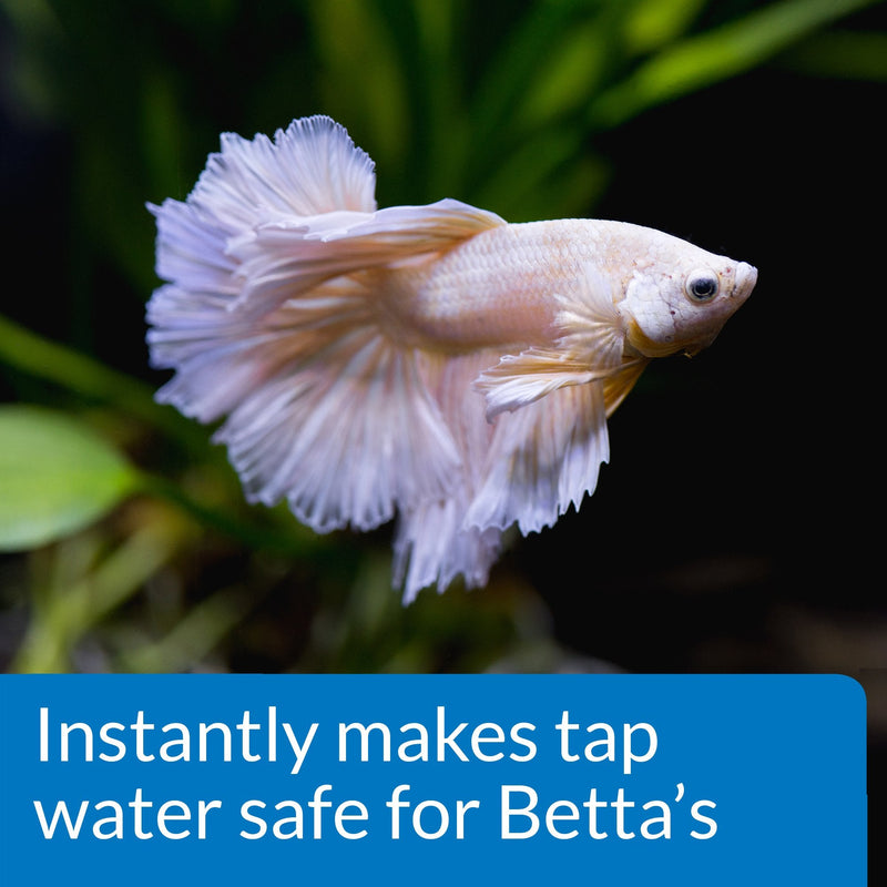 API Betta Fish Food 1.25 oz Multi-colored - PawsPlanet Australia