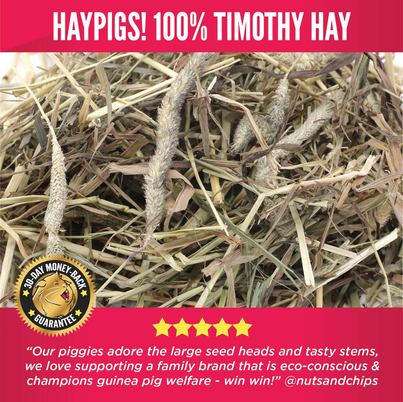 HAYPIGS 100% First Cut Timothy Hay Guinea Pig Food Premium 1kg Hay Bale in Eco Bag - Hay for Rabbits and Hay for Guinea Pigs - Feeding Hay for Chinchilla Food and Degu Food - PawsPlanet Australia