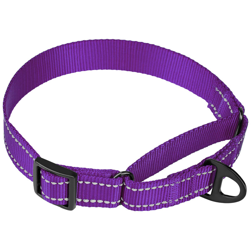 [Australia] - CollarDirect Reflective Martingale Dog Collar Nylon Heavy Duty Training Pet Collars for Small Medium Large Dogs Puppy Pink Orange Black Blue M, Neck Size 13"-18" Purple 