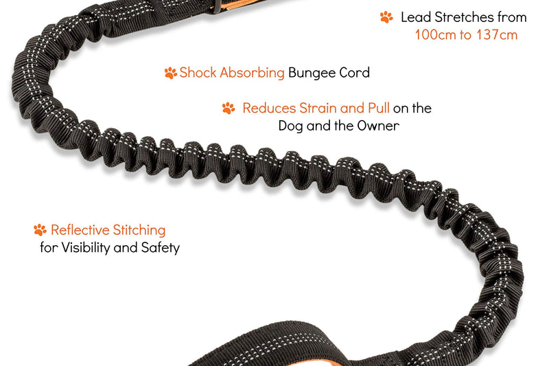 Sweetie Bungee Dog Lead - Shock Absorbing Leash that Softens Pulls & Stops – Neoprene Padded Loop & Traffic Handles for Extra Comfort - Reflective for Safer Night Walking 40"/102cm Black - PawsPlanet Australia