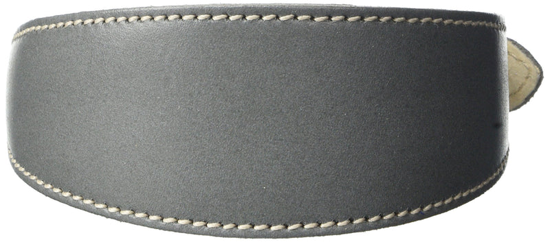 BBD Pet Products Whippet Collar, One Size, 3/4 x 12 to 14-Inch, Grey - PawsPlanet Australia