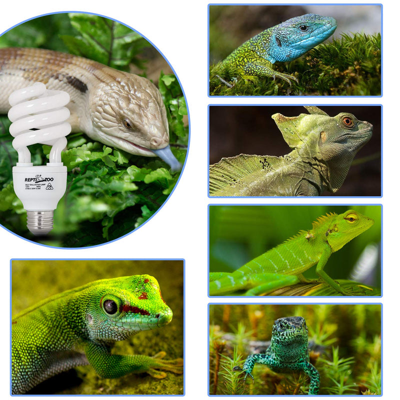 REPTI ZOO Energy Saving Lamps UVB Bulb,Spiral Compact 15 Watts 26 Watts UVB 5.0 Reptile Light Bulb Fit for Rainforest Type Reptile/Snake/Lizard/Insect/Turtle/Tortoise UVB5.0-15W - PawsPlanet Australia
