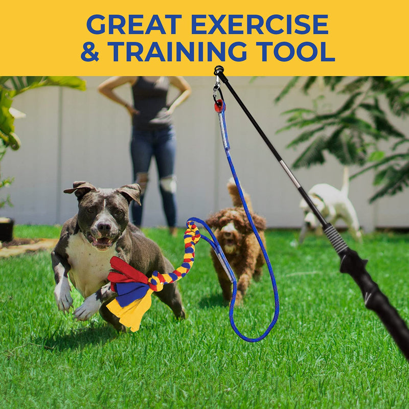 CHEERING PET Flirt Pole for Dogs, Teaser Wand with Colorful Braided Rope Tether, Exercise Fun for Dogs, Durable Interactive Dog Toy Dog Flirt Pole Colorful Tether - PawsPlanet Australia