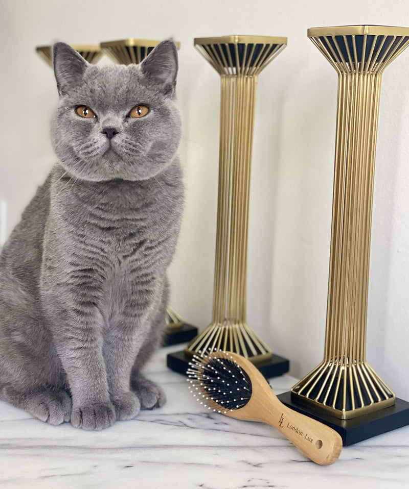 London Lux Double Sided Pin and Bristle Bamboo Dog Brush| Cat Brush for Cleaning Loose Fur and Dirt. This Dog Grooming Brush Suitable for Long, Short, Thick, Wiry, or Curly Hairs - PawsPlanet Australia