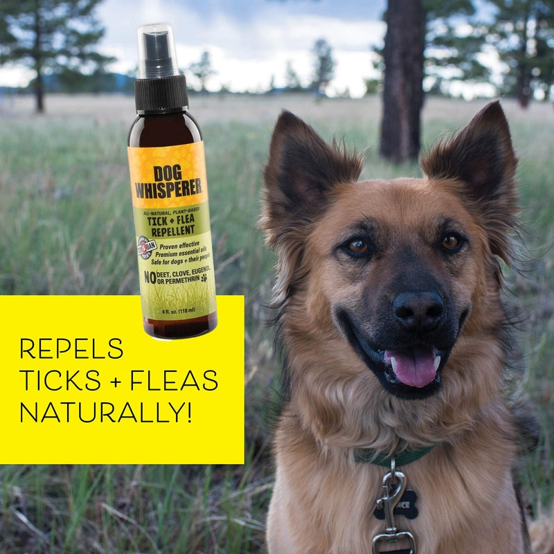 Dog Whisperer Tick + Flea Repellent, All-Natural, Extra Strength, Effective on Dogs and Their People 4 oz - PawsPlanet Australia