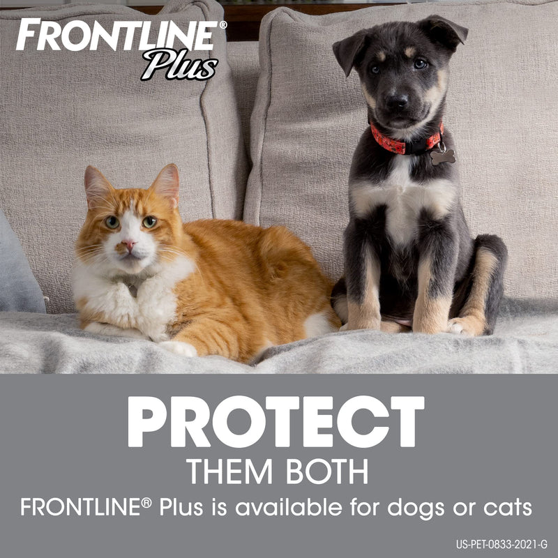 FRONTLINE Plus Flea and Tick Treatment for Cats 3 Doses - PawsPlanet Australia