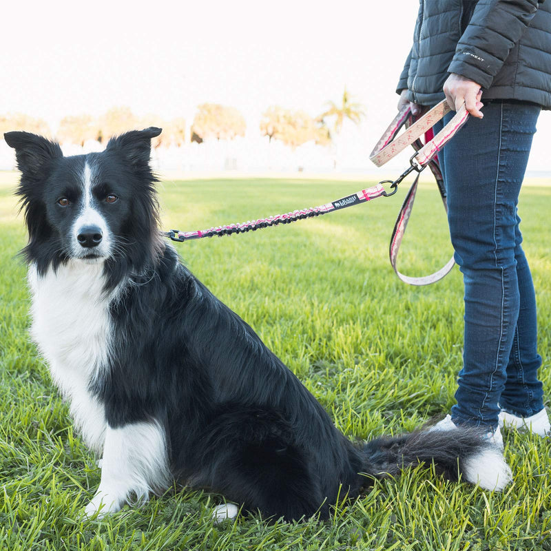 Leashboss Pattern Bungee Leash Extension, 18" Shock Absorbing Lead Extender, Pattern Collection 18 Inch Beige/Red - Mountain - PawsPlanet Australia