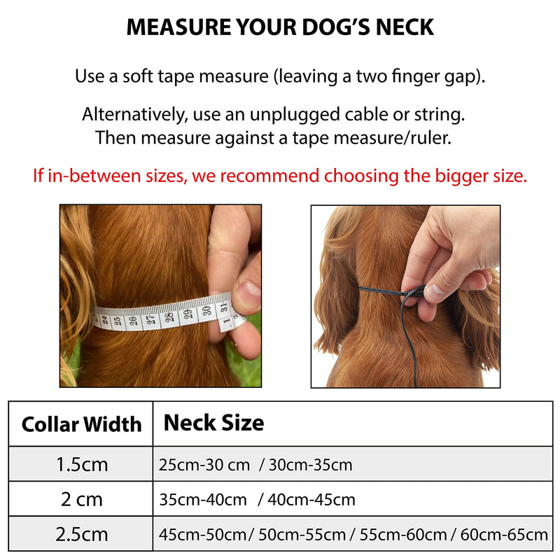 Elite Paws® UK. Premium Dog Collar Metal Buckle, Soft Padded Mesh, Reflective, Strong, Adjustable. Puppy Puppies XS Small Medium Large Extra XL Boy Girl Male Female Pet Breed (25cm-30cm Black/ Grey) Neck: 25cm-30cm - PawsPlanet Australia
