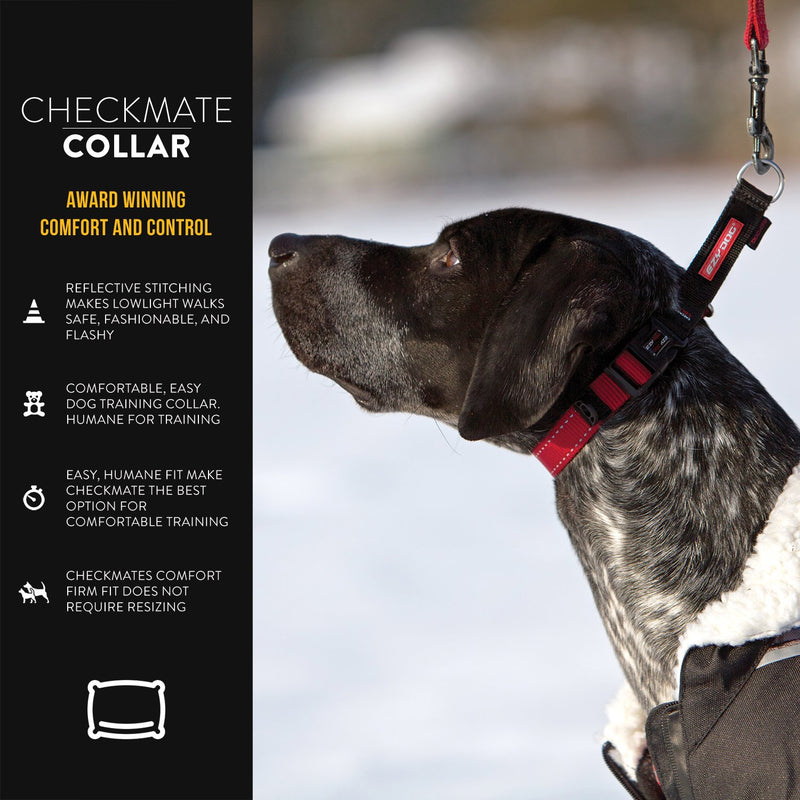 [Australia] - EzyDog Checkmate Martingale-Style Training and Correction Dog Collar Large Red 