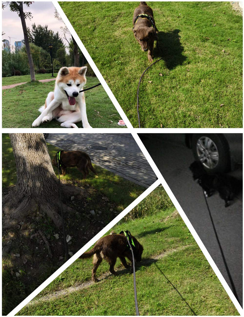 [Australia] - MayPaw 15FT/30FT/50FT Long Rope Training Dog Leash- Heavy Duty Nylon Recall Pet Tracking Line- for Small Medium Outside Training Play Camping or Backyard 100ft*1/3" black 
