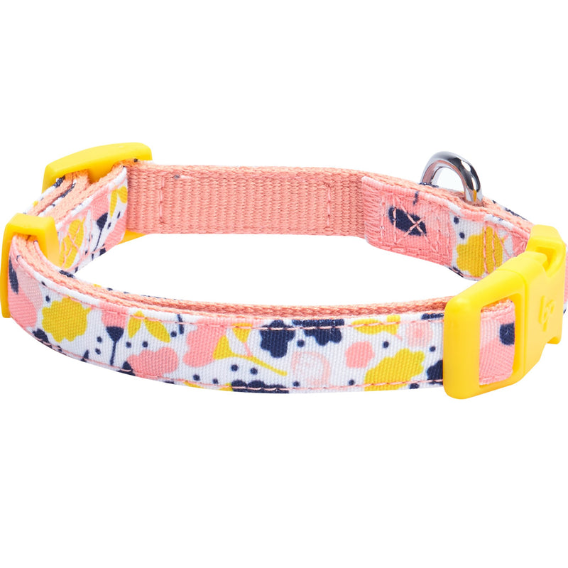 Blueberry Pet 5 Patterns Made Well Floral Dog Collars Collar - (18"-26") Neck * 1" Wide Creamy White - PawsPlanet Australia