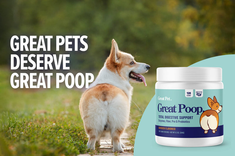 Great Poop Probiotics for Dogs and Cats - A Fiber for Dogs & Cat Supplement with Dog Probiotics and Digestive Enzymes for a Healthy Gut, Firm Stool & Diarrhea Relief - Chicken Flavored Pet Soft Chews with Prebiotics Dog - 120 Ct - PawsPlanet Australia