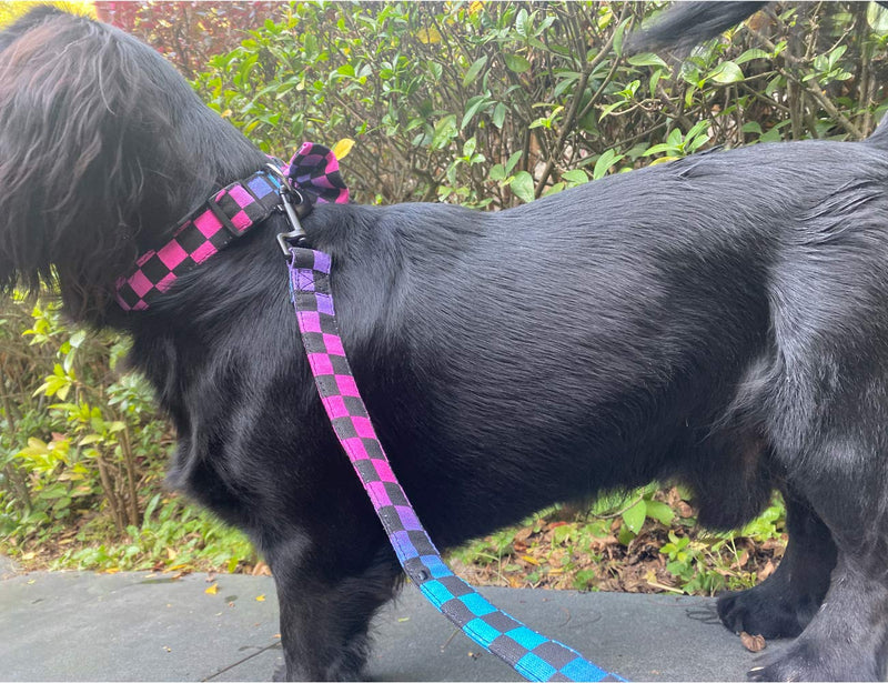 yamine Canvas rainbow Plaid Adjustable Collars and Lead Set, Dog Cat Collar with Removable Bow tie, two size suitable for neck 10.6''-15.7'', 1'' in wide For 10.6''-15.7'' neck * 1'' wide - PawsPlanet Australia