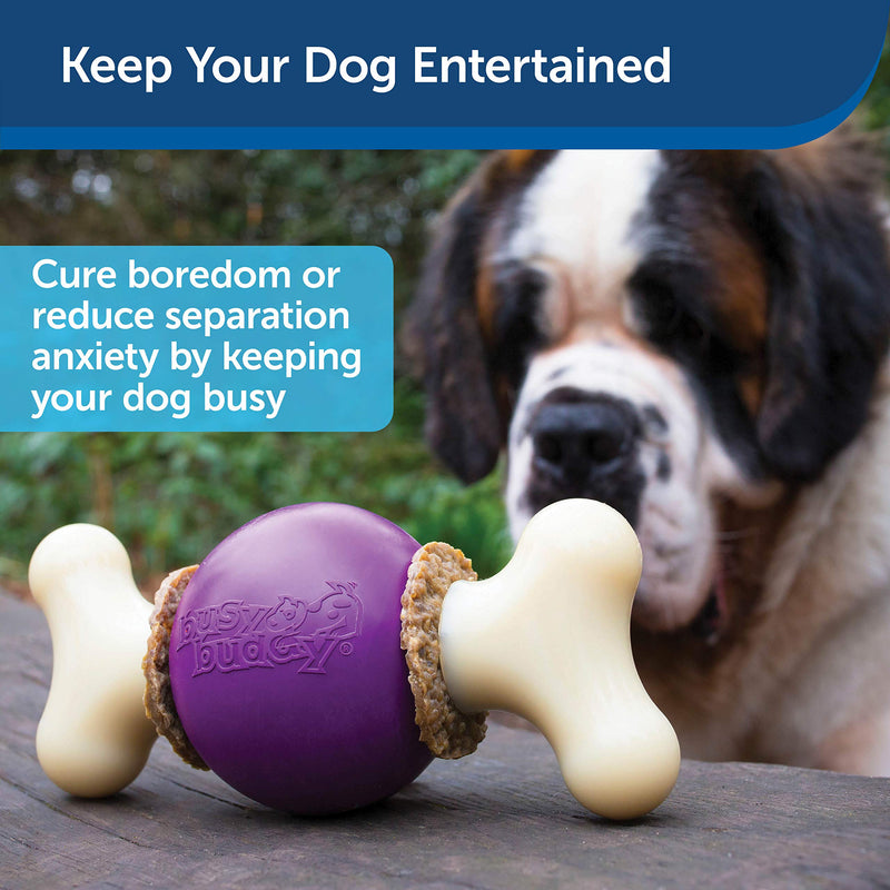 PetSafe Busy Buddy Bouncy Bone S Durable Dog Chew Toy, Dog Toy Bone with Treat Rings - Small Purple - PawsPlanet Australia