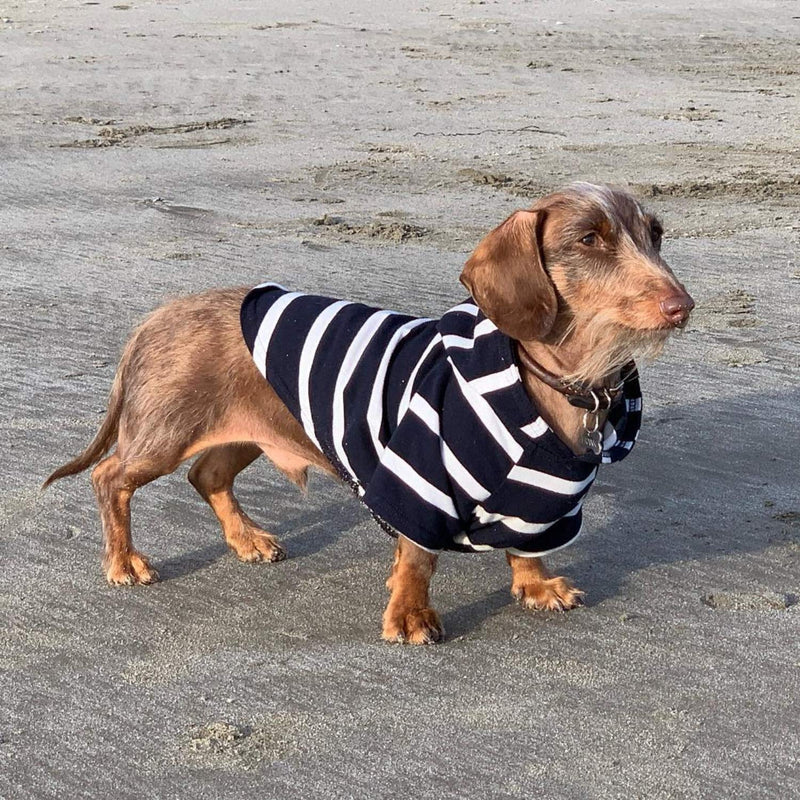 DJANGO Dog Hoodie and Super Soft and Stretchy Sweater with Elastic Waistband and Leash Portal X-Small Navy - PawsPlanet Australia