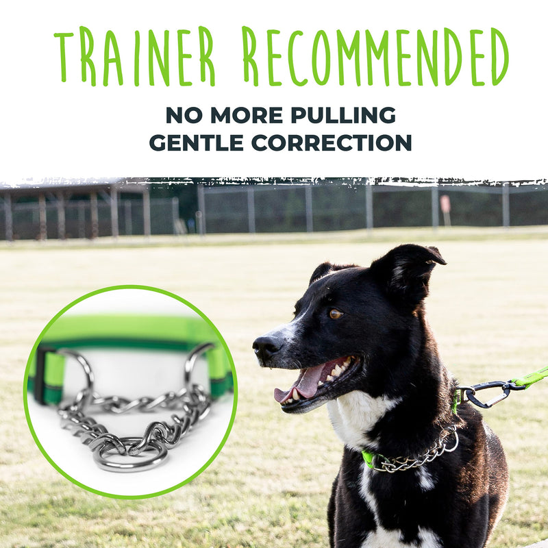 Mighty Paw Martingale Dog Collar 2.0 | Trainer Approved Limited Slip Collar with Stainless Steel Chain & Heavy Duty Buckle. Modified Cinch Collar for Gentle & Effective Pet Training S/M Green - PawsPlanet Australia