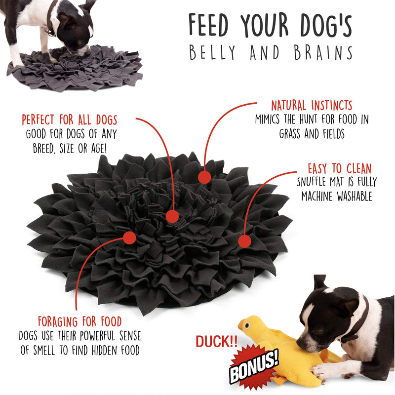 [Australia] - PAW by Seven Snuffle mat and Squeaky Toys for Dogs. Dog Puzzle: Dog Snuffle mat and Duck Dog Toy, Fleece Fabric, Durable, nosework mat, Dog Slow Feeder and Duck Dog Puzzle Feeder. Nosework Supplies 