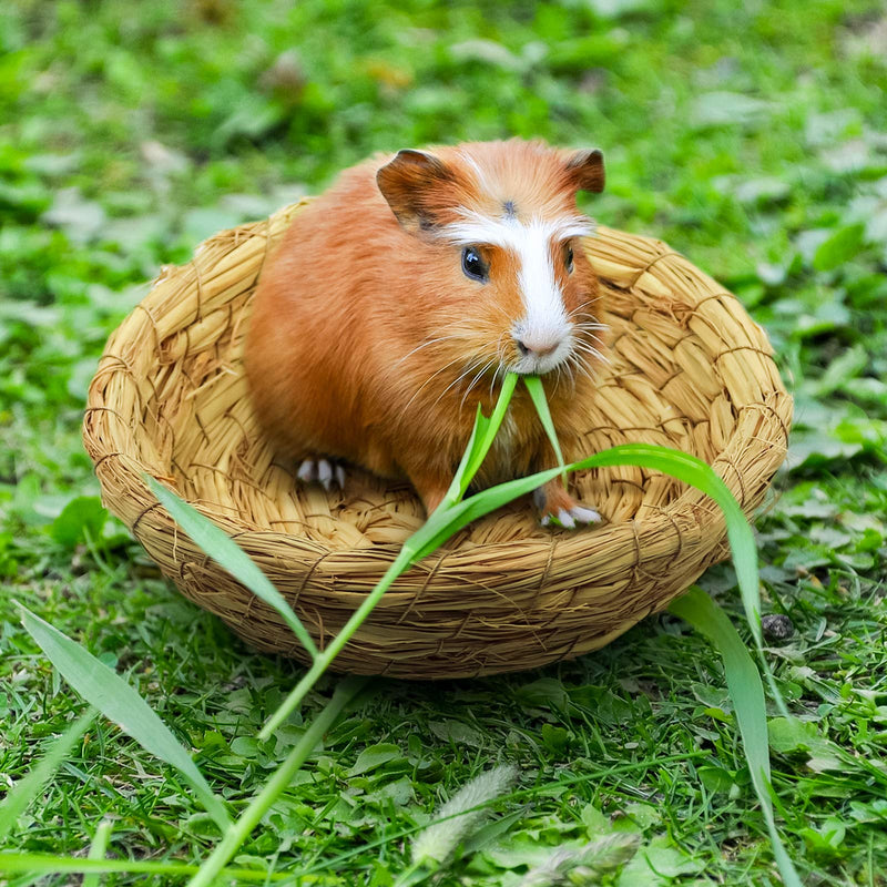 Roundler Bunny Grass Bed, 2 Pack Rabbit Natural Handcrafted Woven Straw Bed with 2 Pack Soft Warm Pad for Squirrel, Hedgehog, Bunny, Chinchilla, Hamster, Guinea Pig, Ferret, Small Animals Chew Toys H01 - PawsPlanet Australia