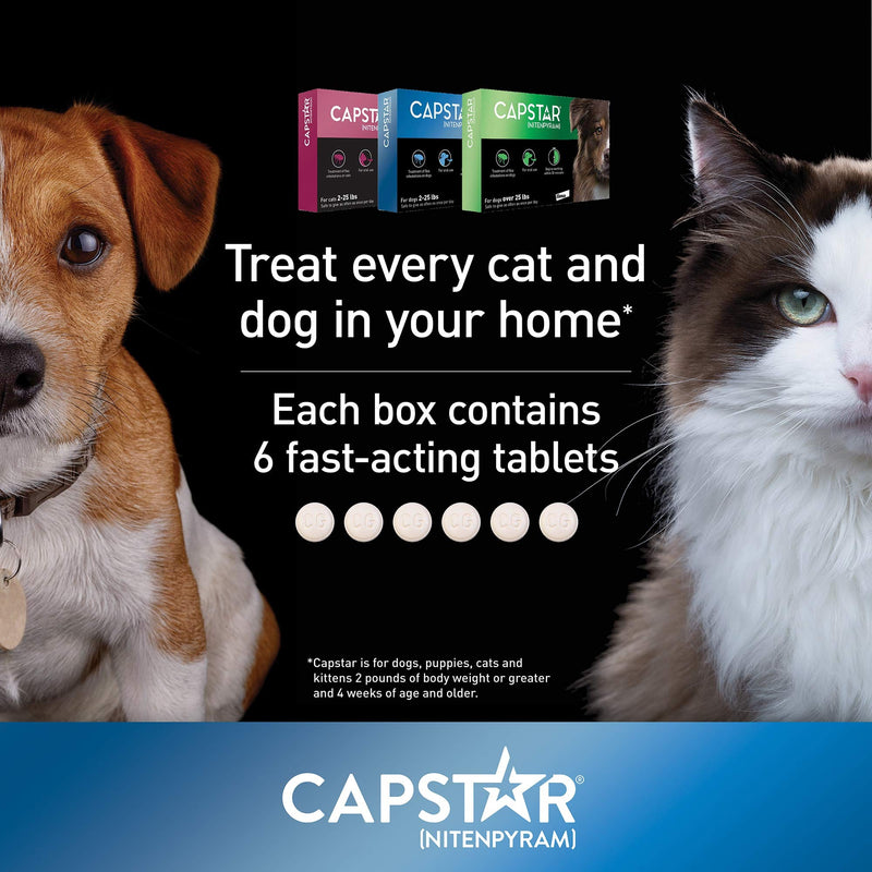 Capstar Flea Tablets for Dogs 2-25 lbs., Count of 12, 12 CT - PawsPlanet Australia