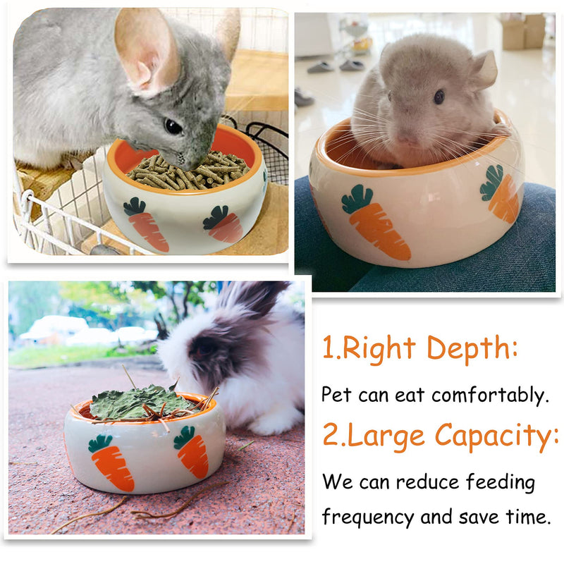 Rabbit Bowl, Ceramic Guinea Pig Food Bowl with Cute Carrot Pattern, Keep from Knocking Over, Food Splashing and Chewing, Small Animal Ceramic Food Bowl for Guinea Pig Rabbit - PawsPlanet Australia