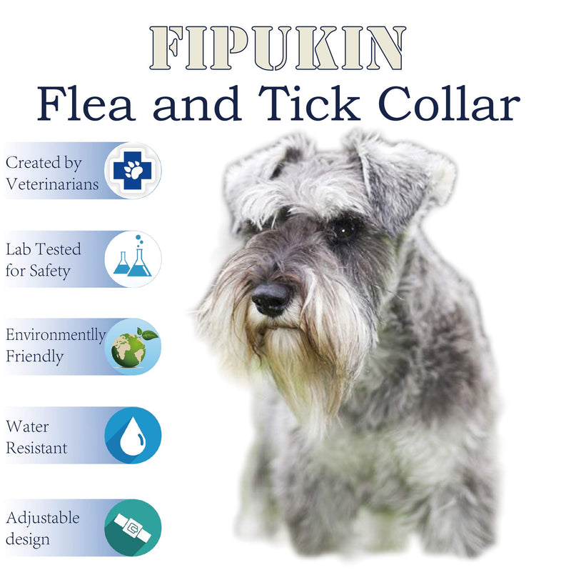 Flea and Tick Collar for Dogs, Natural and Safe Flea and Tick Collar for Small Dogs, 2×8 Months Protection, Waterproof, One Size Fits All, Charity, 2-Pack - PawsPlanet Australia