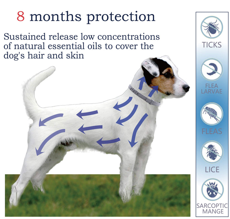 Flea and Tick Collar for Dogs, Natural and Safe Flea and Tick Collar for Small Dogs, 2×8 Months Protection, Waterproof, One Size Fits All, Charity, 2-Pack - PawsPlanet Australia