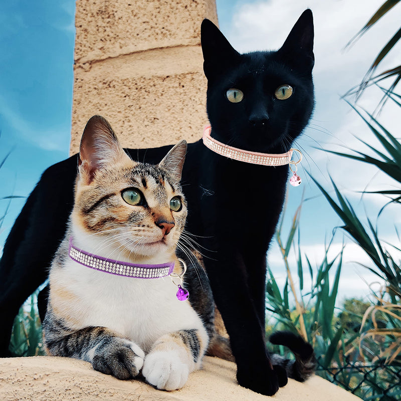 FLYSTAR Cat Collar Breakaway with Bell - Cute Cat Collar for Boy Girl Cats - Rhinestones Bling Adjustable Soft Velvet Pet Collars for SML Cats, Puppy (Pink, Purple, Black) - PawsPlanet Australia