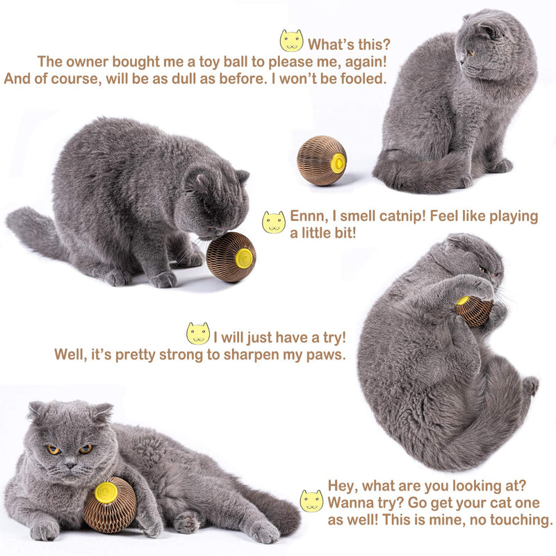 [Australia] - ARELLA Catnip Ball Toy for Cats Catnip Refillable Scratcher Ball Kitty's Faithful Playmate Reduce Obesity and Loneliness CSB01BR 