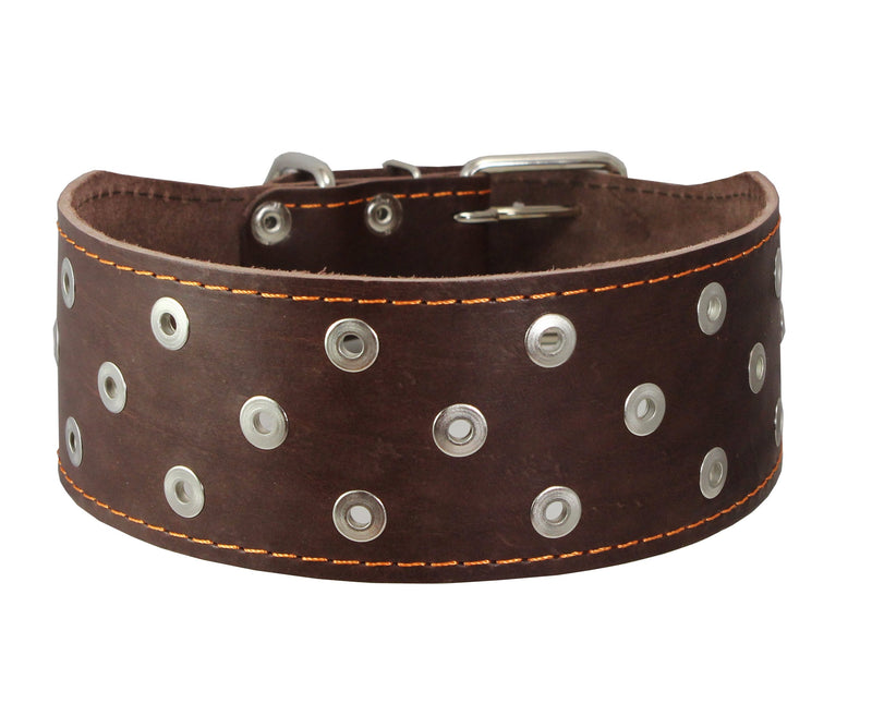 [Australia] - Dogs My Love 3" Extra Wide Heavy Duty Genuine Leather Studded Brown Leather Collar. Fits 19"-23" Neck. for Large Breeds - Boxer, Pit Bull 