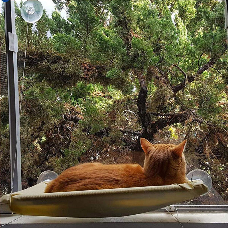 PETPAWJOY Cat Bed Cat Window Perch Window Seat Sticky Pads，4PCS - PawsPlanet Australia