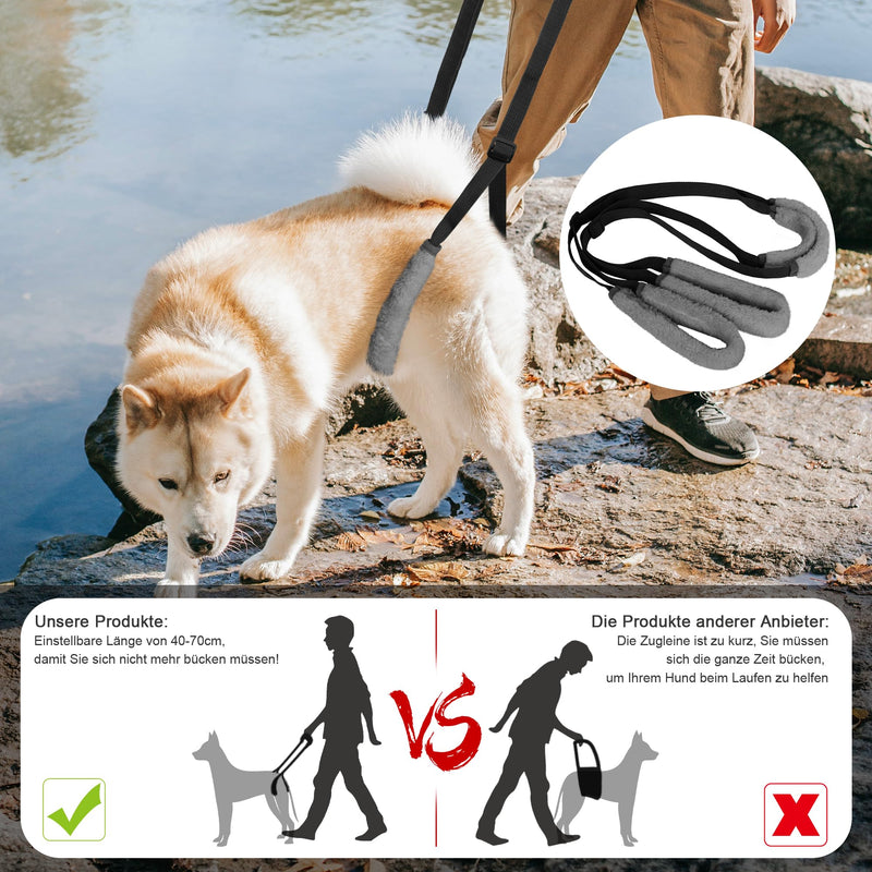 Lollanda walking aid for dogs at the back, carrier for dogs, dog harness for the hind legs, walking aid for dogs to support sick dogs, older dogs, promotes the mobility of the dog (black) black - PawsPlanet Australia