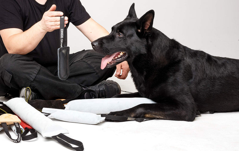 Dingo Gear Dog Bite Tug Handmade of Black Grain Leather Strong For Training K9 Ipo Agility and Just Fun S00226, Black - PawsPlanet Australia
