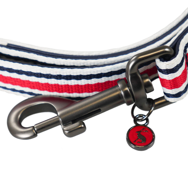 JOULES - STRIPED DOG LEAD - PawsPlanet Australia