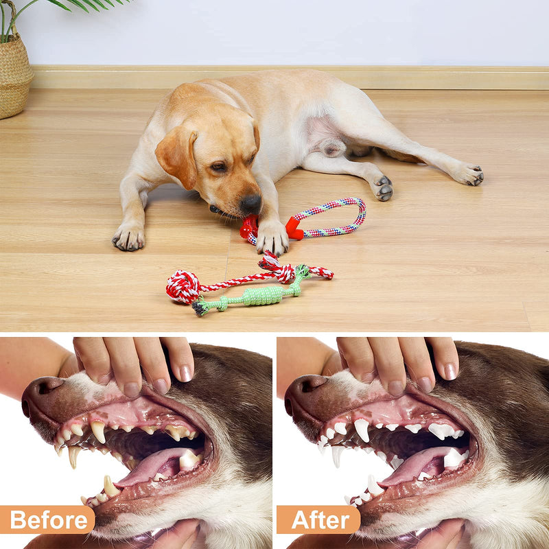 Karhood Dog Rope Toys for Aggressive Chewers Medium to Small Dogs Puppy Teething Chew Toys (Set of 11) - PawsPlanet Australia