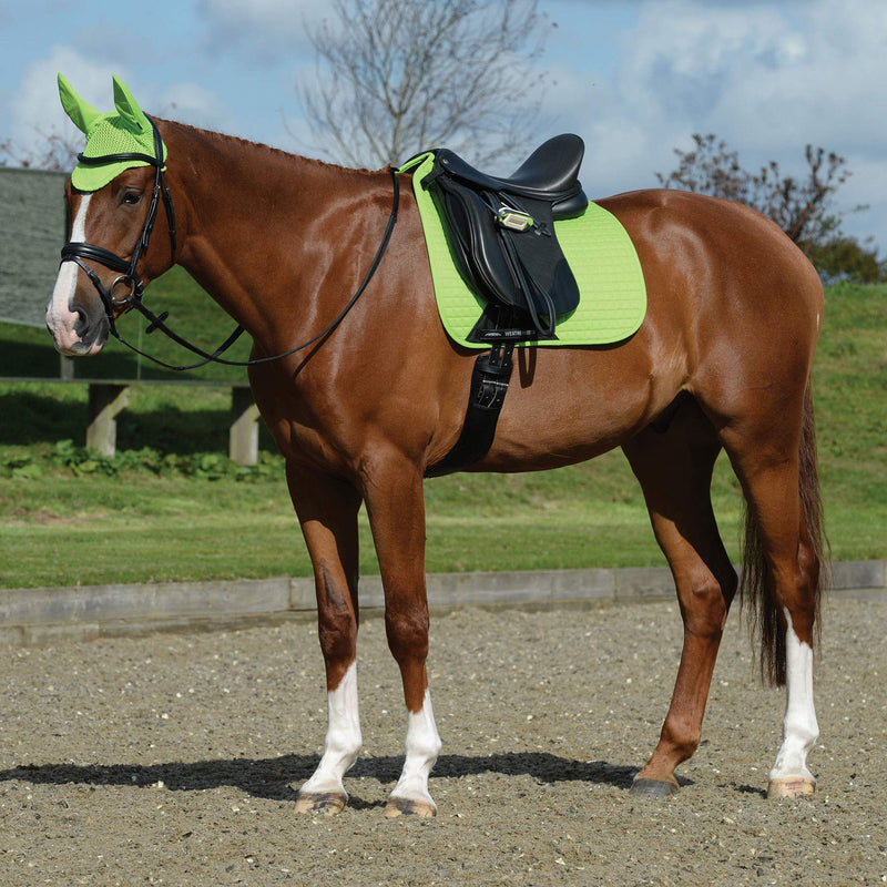 Weatherbeeta Prime Ear Bonnet - Lime Green Full - PawsPlanet Australia