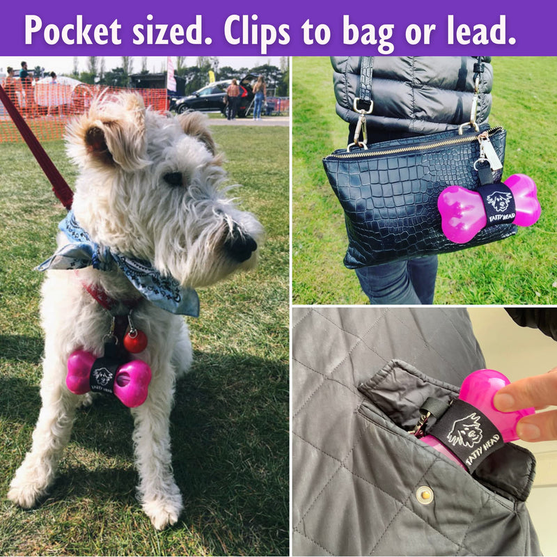 Tatty Head Dog Treat Dispenser And Recall Training Aid - Easy To Use - Just Shake to Recall - Clips To Lead or In Pocket, Ideal For Walks, Suits Both Dogs and Puppies - Clear - PawsPlanet Australia