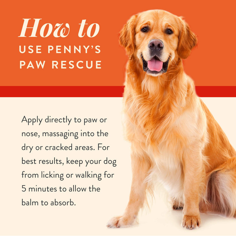 Penny's Paw Rescue - 100% Natural Dog Paw Balm - Relief from Heat, Cold, Allergens & Rough Terrain - Dog Paw Protection, Healing & Paw Soother - Paw Wax for Dogs Made with Hemp Oil, Jojoba, Moringa - PawsPlanet Australia