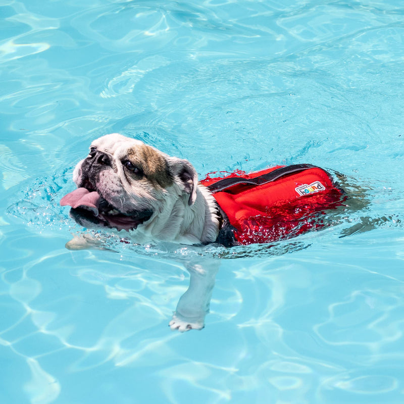 Outward Hound Dawson Dog Life Jacket, Large, Red L - PawsPlanet Australia