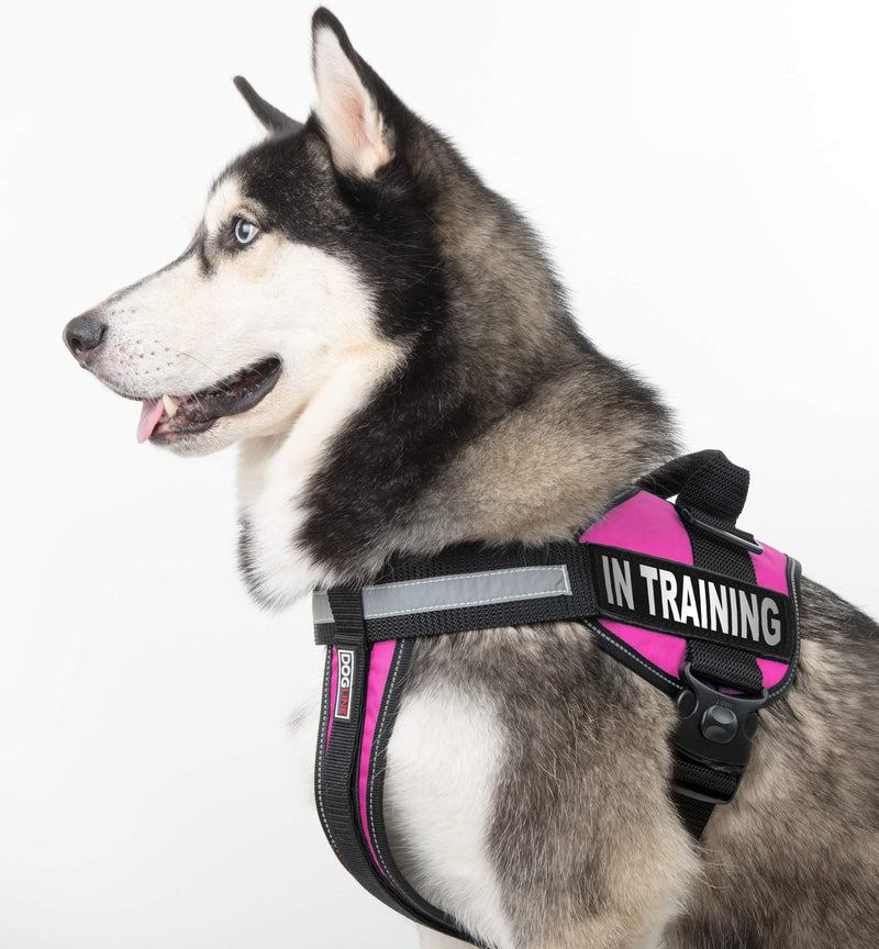 [Australia] - Dogline Unimax Multi-Purpose Dog Harness Vest with in Training Patches Adjustable Straps, Comfy Fit, Breathable Neoprene for Medical, Service, Identification and Training Dogs Large/28" to 38" Pink 