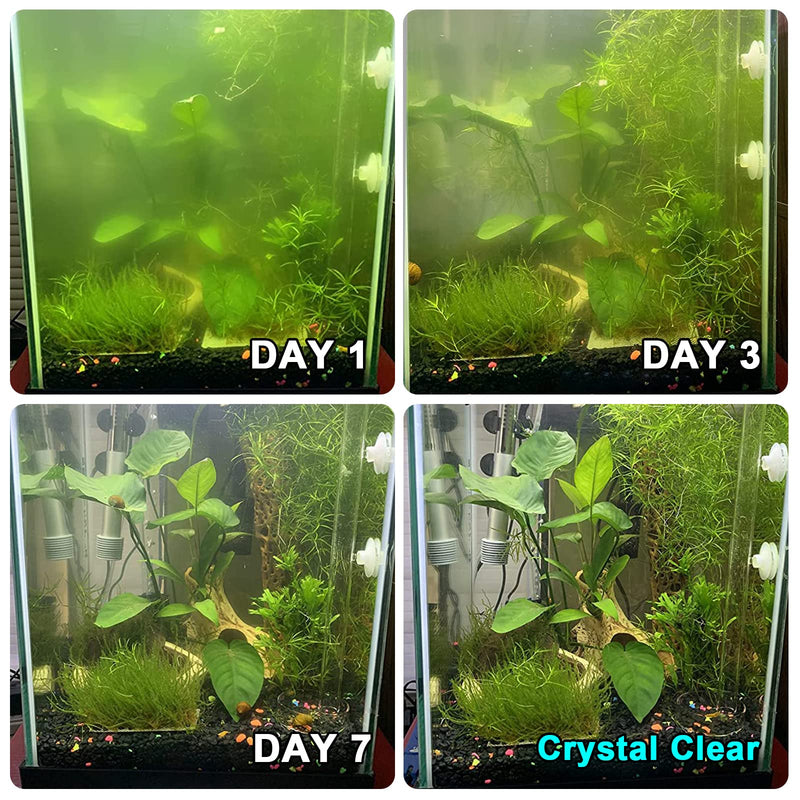Aquarium Lamp 3W Mini Fish Tank Clean Green Light w/ Timer Submersible Use in Filter Area for 5-55 Gallon Fish Tank Pond Cloudy Water Clean and Clear (3W) - PawsPlanet Australia