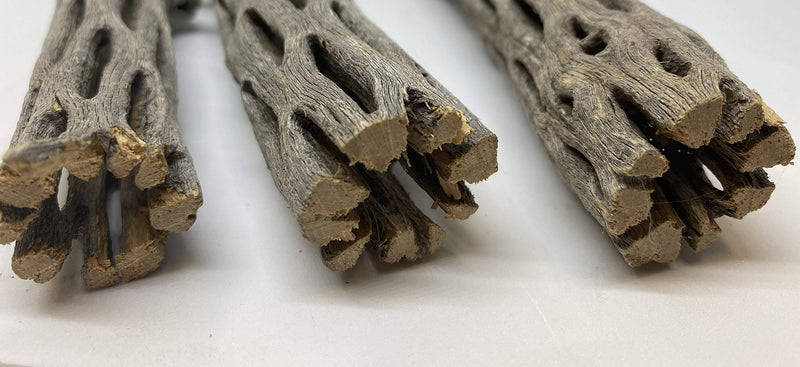 Awesome Aquatic Long Natural Cholla/Choya Wood 3 Pieces 12” for Shrimp Habitat and Food Treat Hermit Crabs Plecos Aquarium Decoration Lowers pH Hideouts and Chew Toys Reptiles Organic - PawsPlanet Australia