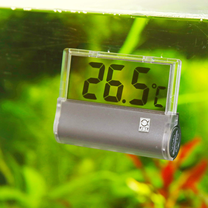 JBL Aquarium Thermometer DigiScan, 27 g - PawsPlanet Australia