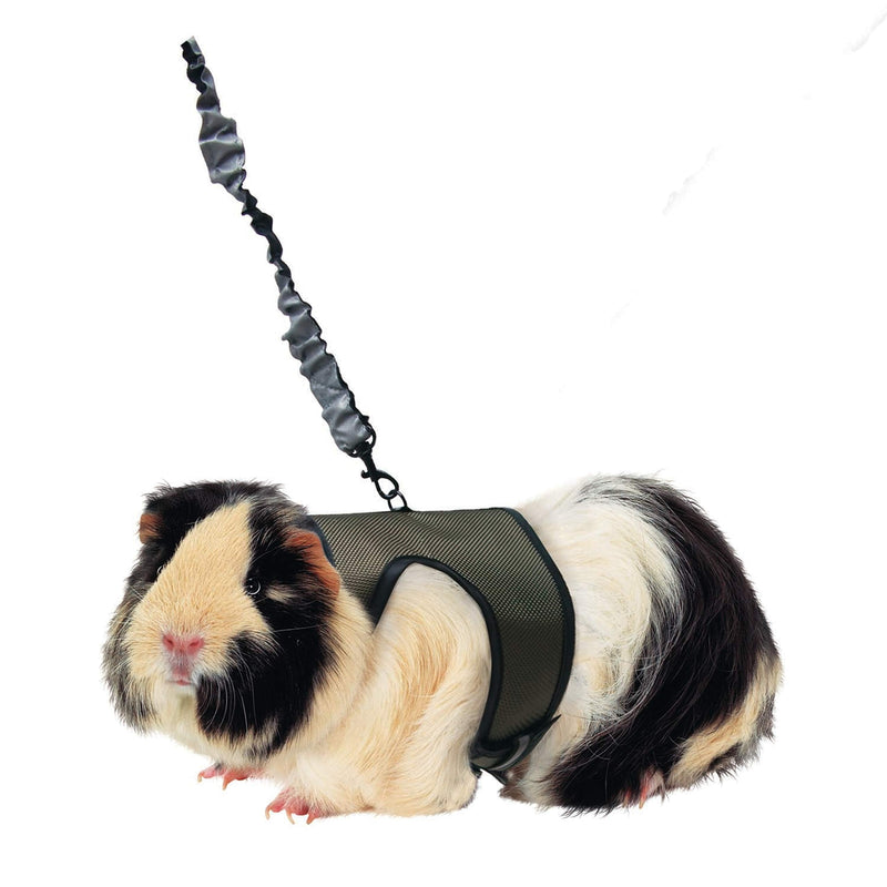 Superpet Large Comfort Harness Plus Stretchy Lead - PawsPlanet Australia