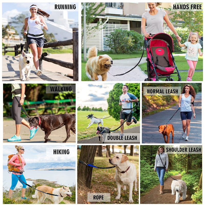 [Australia] - LANNEY Hands Free Dog Leash for Running Walking Training Hiking, Dual-Handle Reflective Bungee, Poop Bag Dispenser Pouch, Adjustable Waist Belt, Shock Absorbing, Ideal for Medium to Large Dogs Black W Blue 