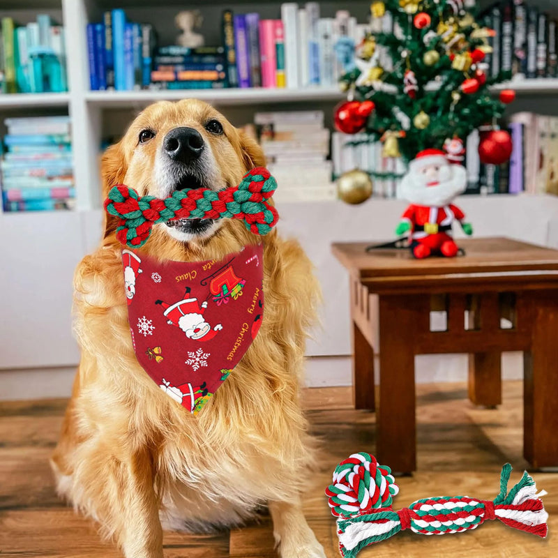 GothicBride Pack of 6 dog toys Christmas, gift Christmas contains 5 dog toys rope natural cotton & 1 red dog bandana, dog chew toy Christmas dog toy candy cane - PawsPlanet Australia