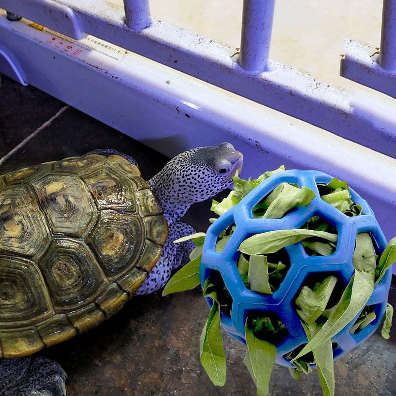 LODCZIOE Tortoise Treat Ball Toy Hay Feeder Ball, Feeding Grass Ball for Tortoise Turtle, Fruit Vegetable Feeder Holder Foraging Toy for Small Animals Pet Blue - PawsPlanet Australia