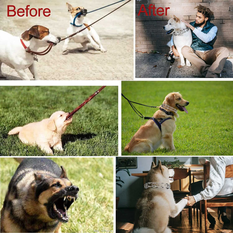 Darkyazi Durable Pinch Collar Stainless Steel Dog Adjustable Pet Training Collar for Medium Large Dogs Medium (Pack of 1) Silver - PawsPlanet Australia
