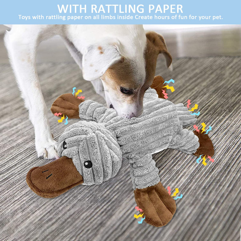 Dog toy dog toy, tug of war plush squeaky with crinkle paper and dog rope, robust dog chew toy for puppies, small, medium, large dogs platypus - PawsPlanet Australia