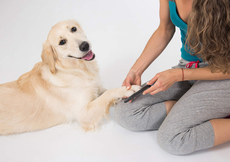 [Australia] - Pets First Comb & Brush Professional Grooming Sets for Cats, Dogs, and Small Mammals Nail File 