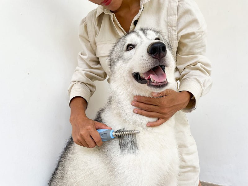 Tuff Pupper Dematting Tool For Dogs & Cats – Our Matting Comb For Dogs Easily & Safely Remove Dead, Matted Or Knotted Hair | Ergonomic, No-Slip Safety Handle Provides Precision Control And Leverage Against The Toughest Knots Dematting Comb - PawsPlanet Australia